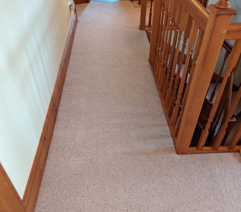 New Carpeting – Project 2